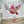 Load image into Gallery viewer, AUSTRALIAN NATIVE BOUQUET Dove Christmas Card
