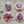 Load image into Gallery viewer, TROPICAL COLLECTION Large Magnets - Magnolia, Protea, Calla Lily, Hibiscus
