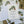 Load image into Gallery viewer, HOUSE PLANTS Collection Writing Paper Set (Non-Personalised)