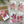Load image into Gallery viewer, New! AUSTRALIAN WARATAH Gift tags