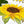 Load image into Gallery viewer, SUNFLOWERS cards set of 4