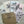 Load image into Gallery viewer, BOTANICALS card set of 5
