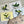 Load image into Gallery viewer, HUMMINGBIRD Cards set of 4