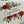 Load image into Gallery viewer, SPRING BOUQUET - Congratulations or Many Thanks