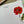 Load image into Gallery viewer, RED POPPY Personalised Flat Notecards Set Of 10