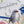 Load image into Gallery viewer, Superb Fairy Wren - Wedding/Engagement Card