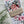 Load image into Gallery viewer, AUSTRALIAN NATIVE BOUQUET Gift Wrap Belly-Bands