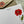 Load image into Gallery viewer, RED POPPY Personalised Flat Notecards Set Of 10
