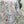 Load image into Gallery viewer, Australian Animal Bookmarks set of 10