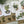 Load image into Gallery viewer, HOUSE PLANTS Collection - Birthday- Thank You - Congratulations - Blank