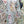 Load image into Gallery viewer, Australian Animal Bookmarks set of 10