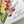 Load image into Gallery viewer, GLADIOLI card - Sympathy Card or Custom wording