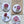 Load image into Gallery viewer, AUSTRALIAN COLLECTION Large Magnets Waratah, Protea, Callistemon