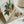 Load image into Gallery viewer, HOUSE PLANTS Mothers Day Card
