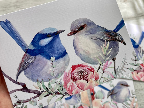 Superb Fairy Wrens - Blank Cards set of 4