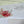 Load image into Gallery viewer, AUSTRALIAN BOTANICAL SCRIPTURE Writing set