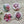 Load image into Gallery viewer, TROPICAL COLLECTION Large Magnets - Magnolia, Protea, Calla Lily, Hibiscus