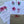Load image into Gallery viewer, TROPICAL Writing Paper Set (Non-Personalised)