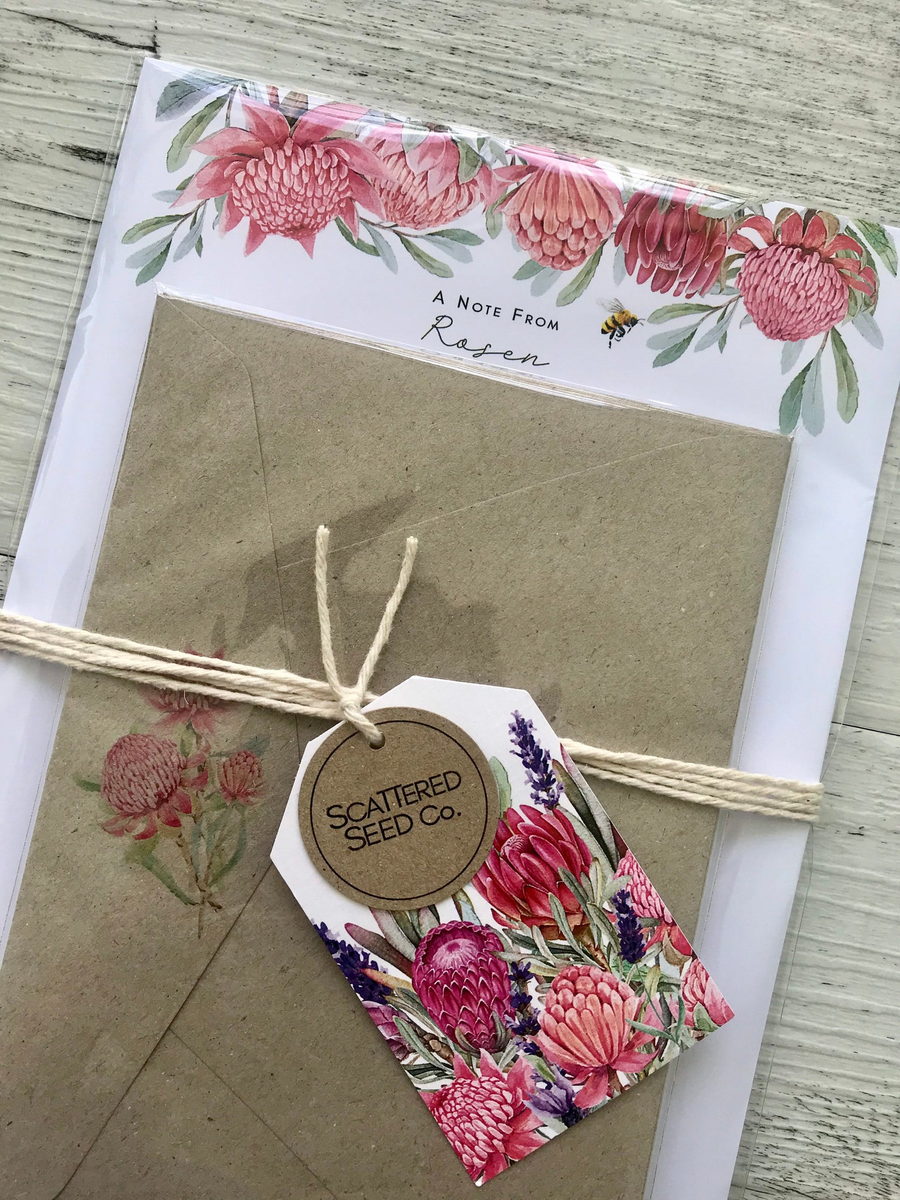 Australian Waratah & Protea – Scattered Seed Co