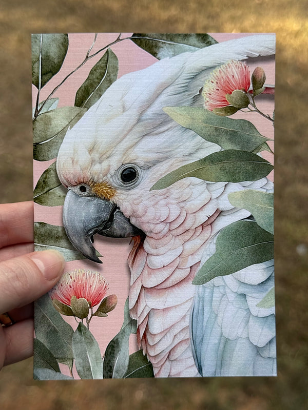 Australian Pink Cockatoo on Native Florals greeting card