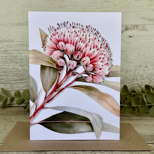 AUSTRALIAN FLORALS Single Stems Blank cards set of 4 - Set B