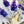 Load image into Gallery viewer, Watercolour LAVENDER Card Set of 4
