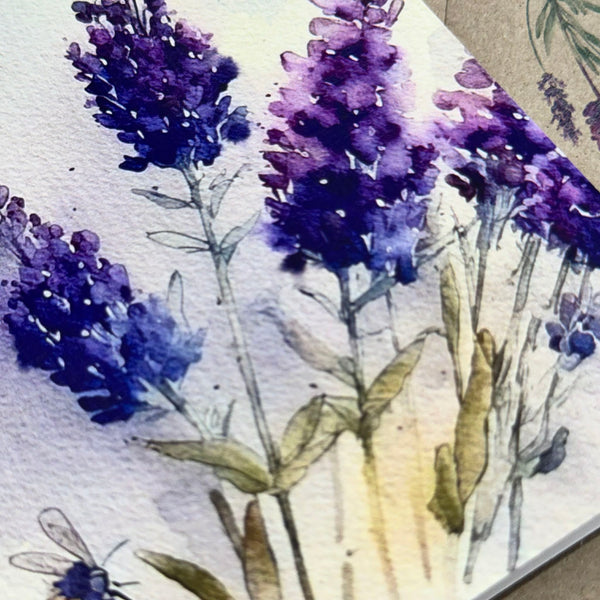 Watercolour LAVENDER Card Set of 4