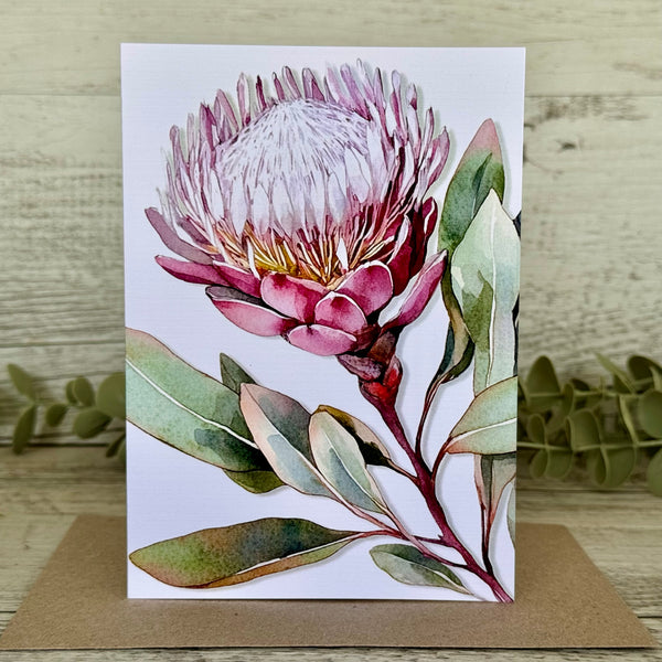 AUSTRALIAN FLORALS Single Stems Blank cards set of 4 - Set B