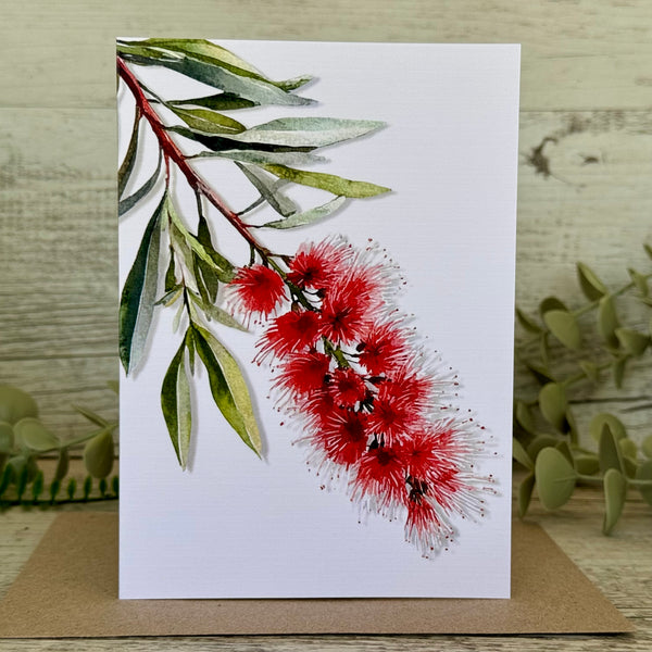 AUSTRALIAN FLORALS Single Stems Blank cards set of 4 - Set A