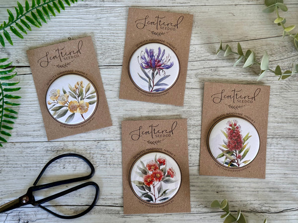 AUSTRALIAN Floral COLLECTION Large Magnets Set of 4 - Set C