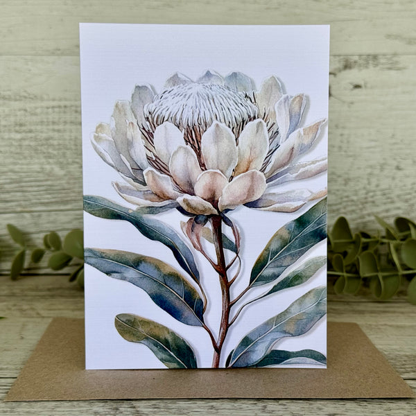 AUSTRALIAN FLORALS Single Stems Blank cards set of 4 - Set C