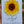 Load image into Gallery viewer, Sunflower and Bee &amp; Honey MAGNETIC BOOKMARKS
