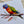 Load image into Gallery viewer, AUSTRALIAN RAINBOW LORIKEETS Personalised Flat Notecards Set Of 10
