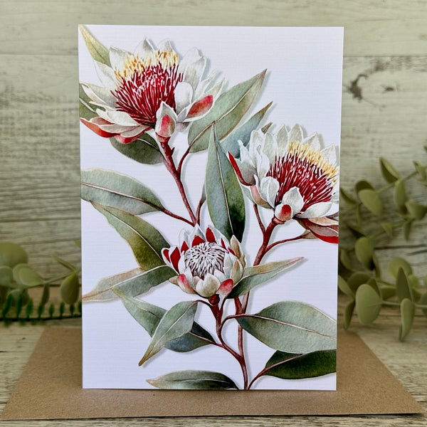 AUSTRALIAN FLORALS Single Stems Blank cards set of 4 - Set A