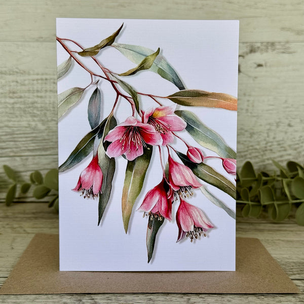 AUSTRALIAN FLORALS Single Stems Blank cards set of 4 - Set B