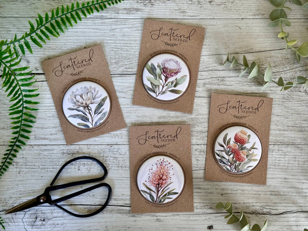 AUSTRALIAN Floral COLLECTION Large Magnets Set of 4 - Set A