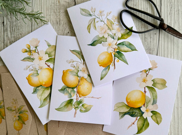 LEMON Blossom cards set of 4 Regular or Mini