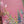 Load image into Gallery viewer, SPRING GARDEN card Christian Sympathy / Grief Rev 21:4
