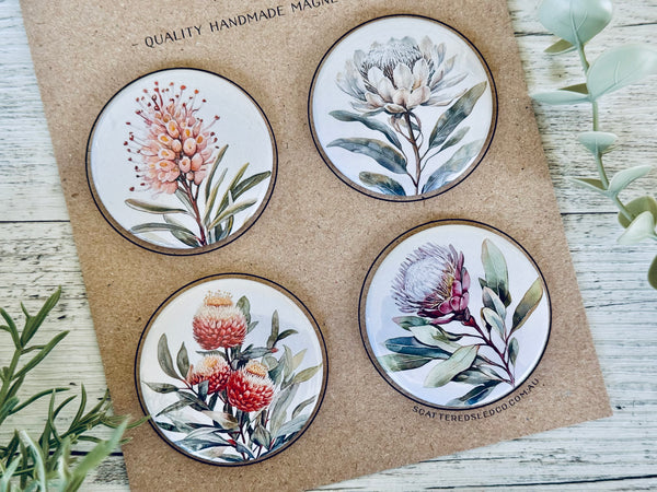 AUSTRALIAN Floral COLLECTION Large Magnets Set of 4 - Set A