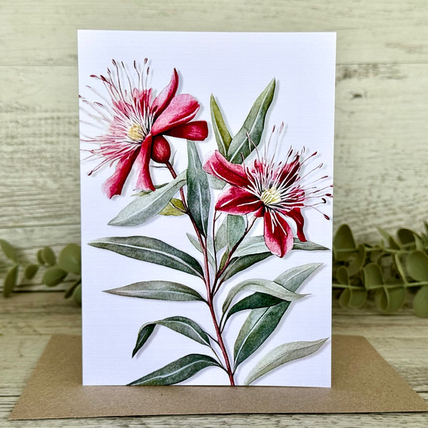 AUSTRALIAN FLORALS Single Stems Blank cards set of 4 - Set C