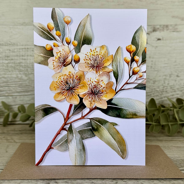 AUSTRALIAN FLORALS Single Stems Blank cards set of 4 - Set B