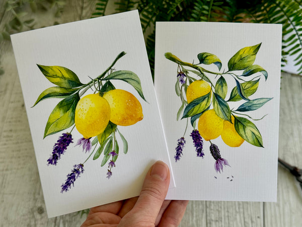 LEMON & LAVENDER cards set of 4