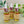 Load image into Gallery viewer, Sweet Serenity Essential Oil Blend 15ml - My Shops signature scent
