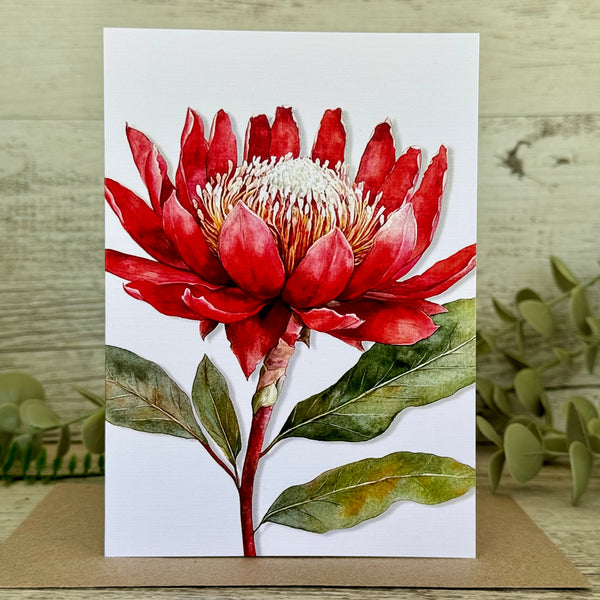 AUSTRALIAN FLORALS Single Stems Blank cards set of 4 - Set A