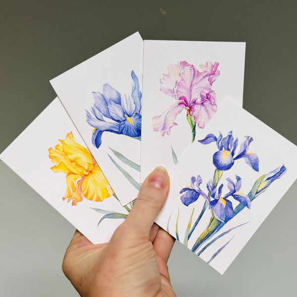 IRIS greeting cards set of 4