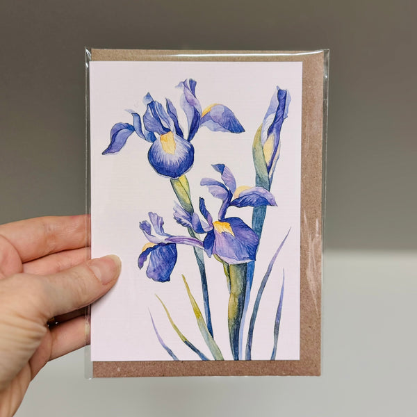 IRIS greeting cards set of 4