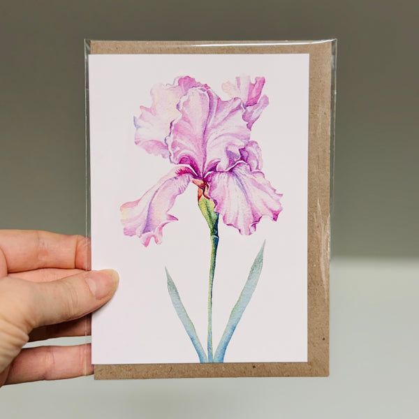 IRIS greeting cards set of 4