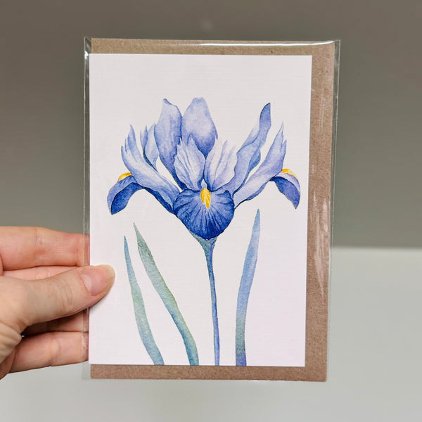 IRIS greeting cards set of 4