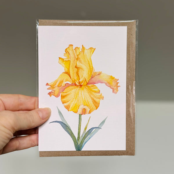 IRIS greeting cards set of 4