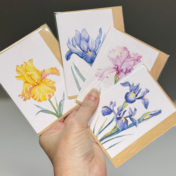 IRIS greeting cards set of 4